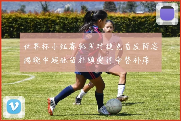 世界杯小组赛韩国对捷克首发阵容揭晓中超独苗朴镇燮待命替补席
